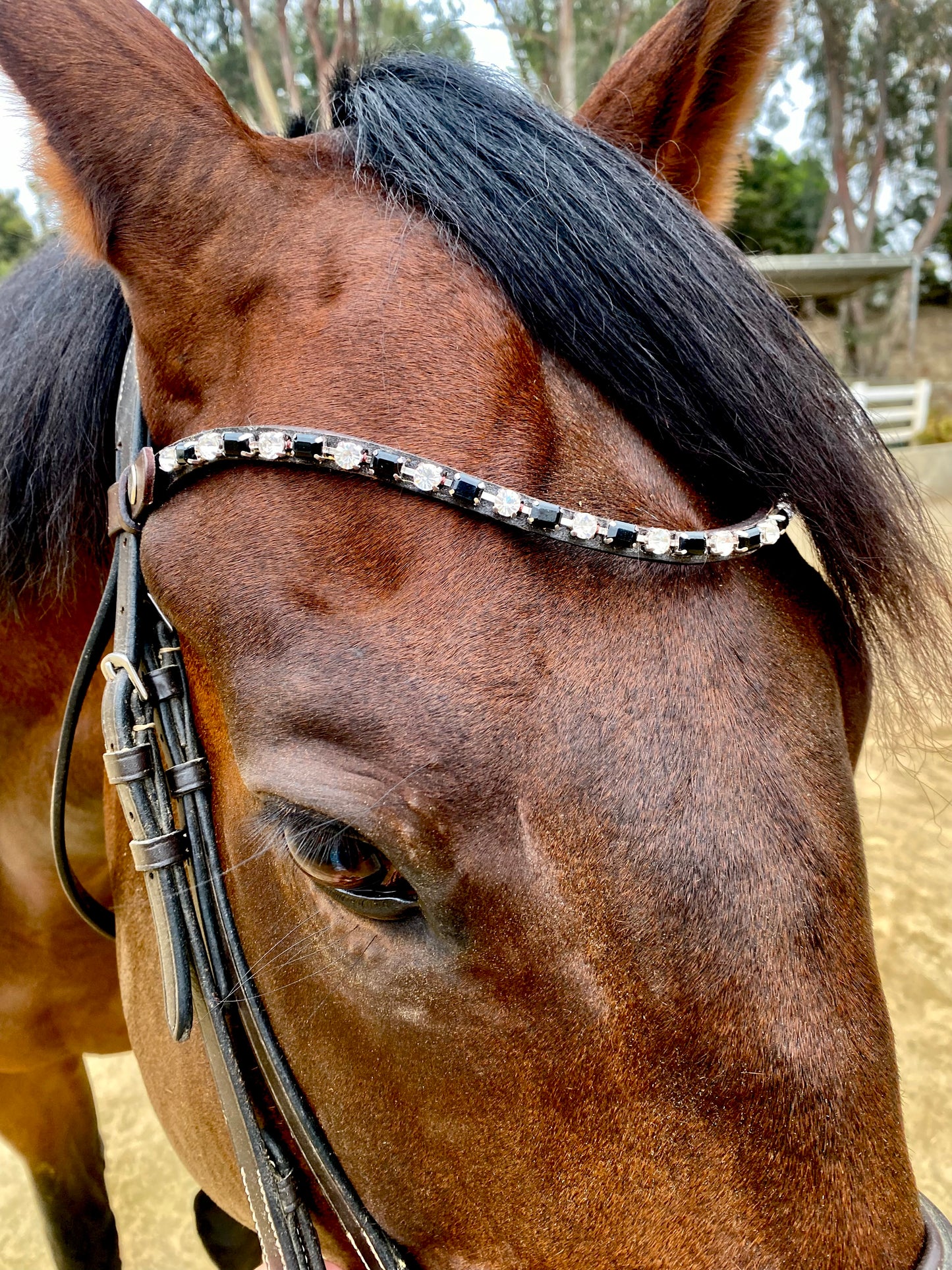 Browband- Amazing