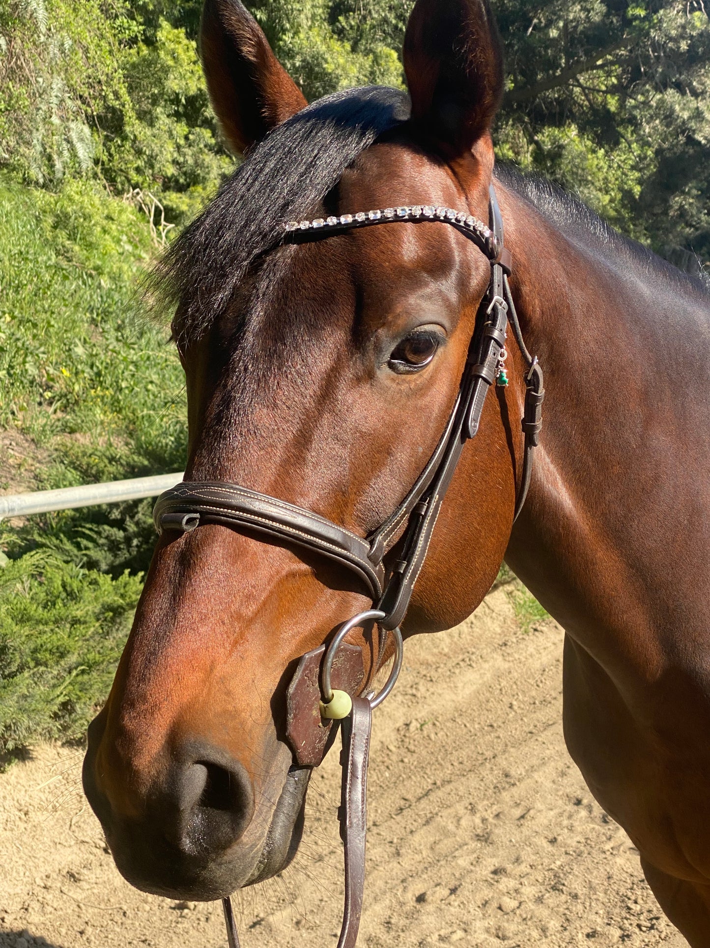 Browband- Amazing
