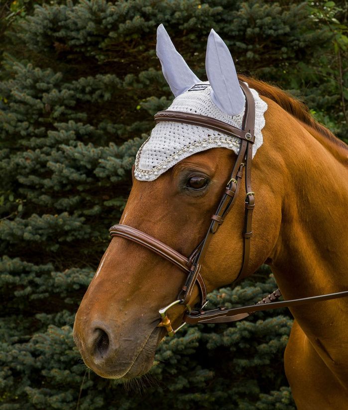 Equine Couture Fly Bonnet with Pearls and Crystals image 2
