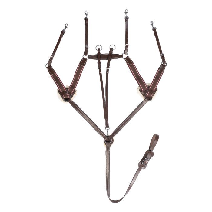 HKM 5 Point Breastplate with Adjustable Running Martingale Attachment image 0