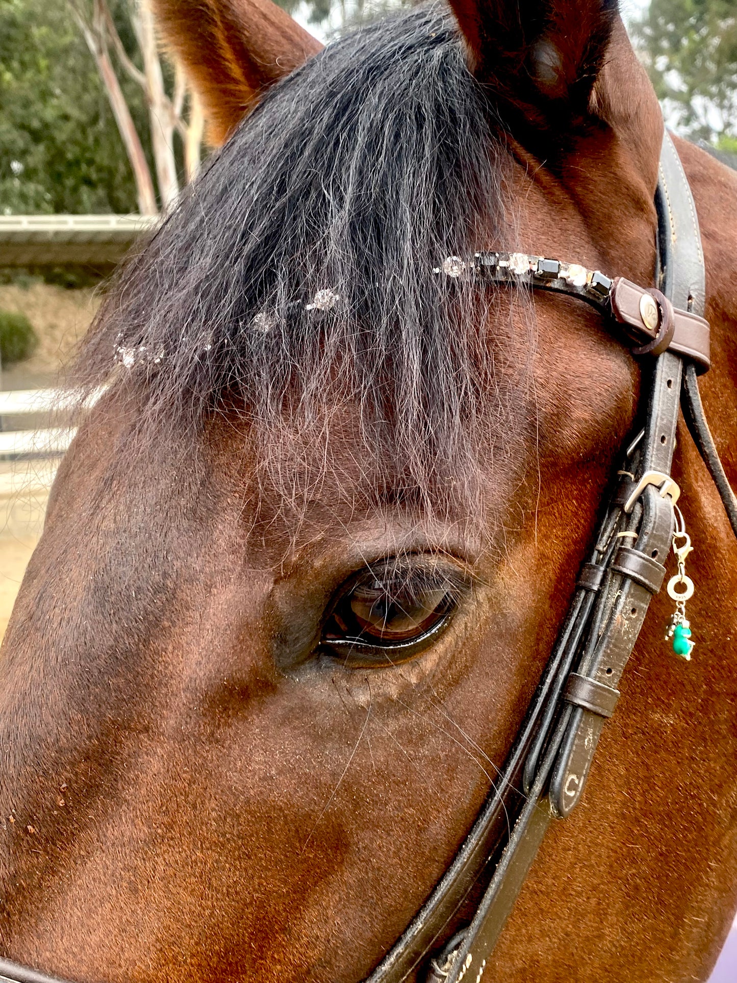 Browband- Amazing