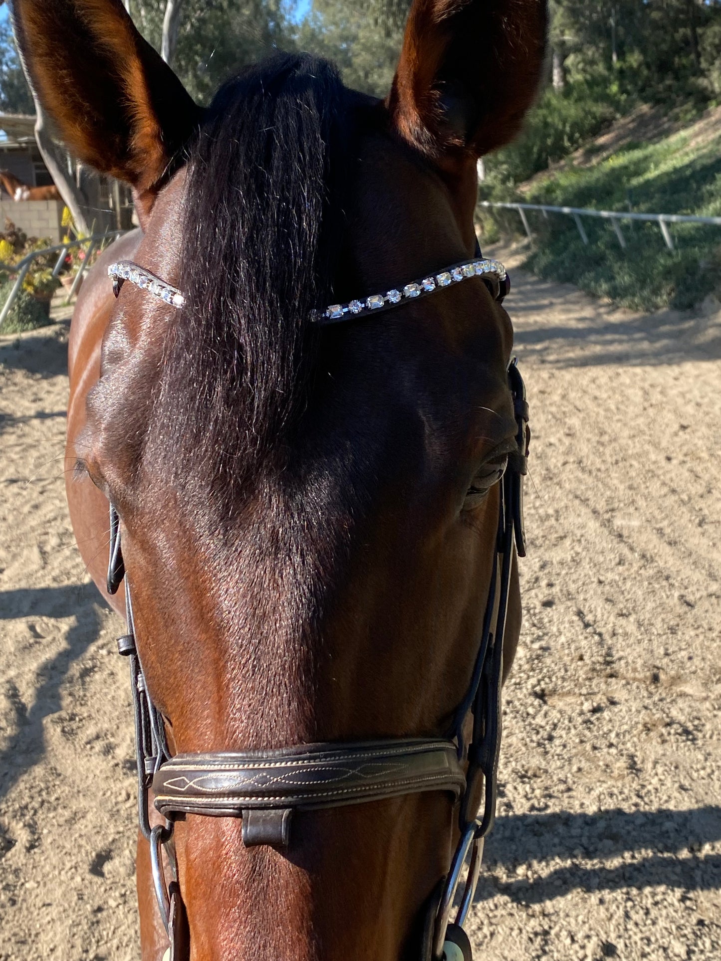Browband- Amazing