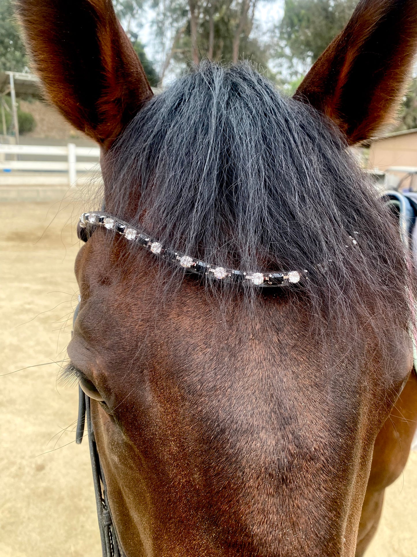 Browband- Amazing