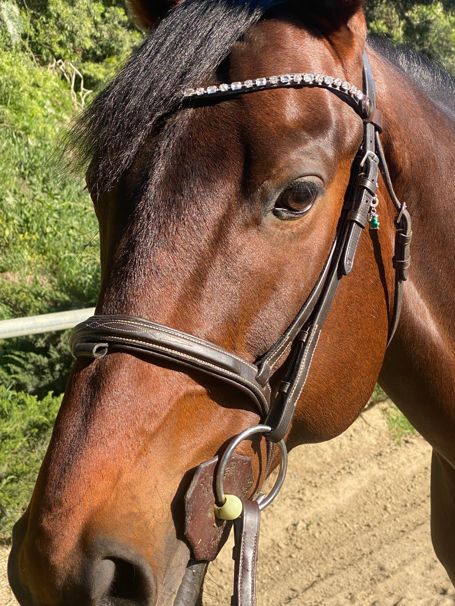 Browband- Amazing