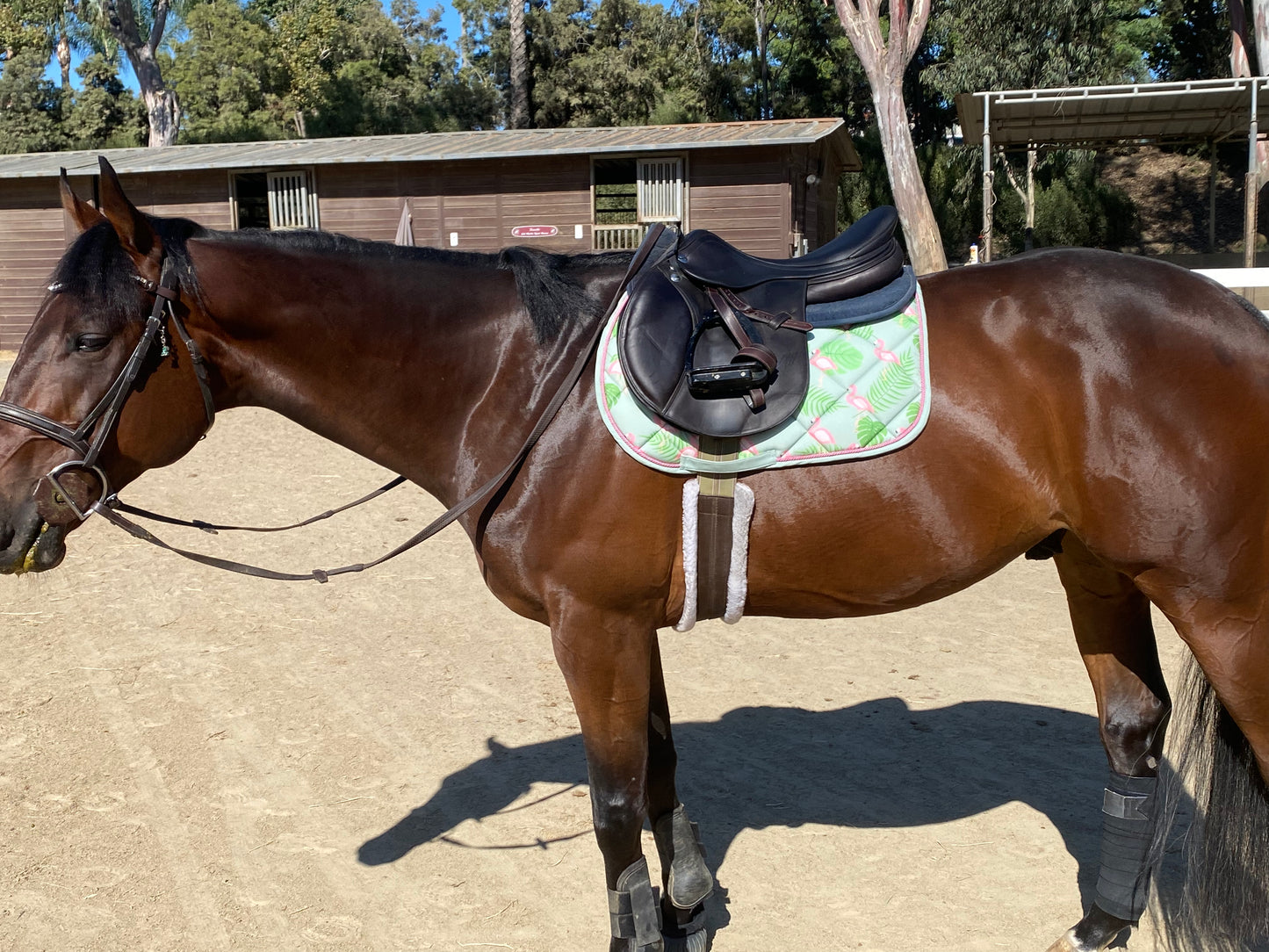 HKM Naples Flamingo Saddle Pad