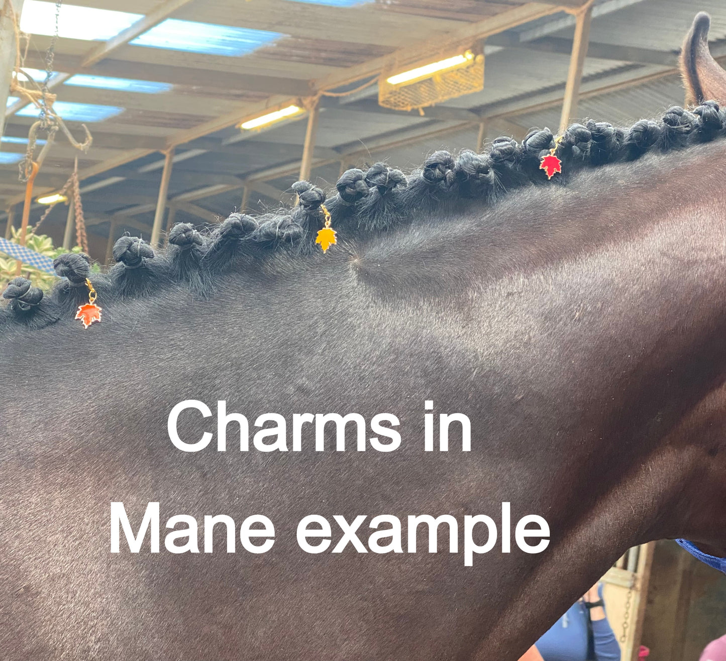 Dana Smith- Mane/Bonnet Charm Single Piece #021 image 3