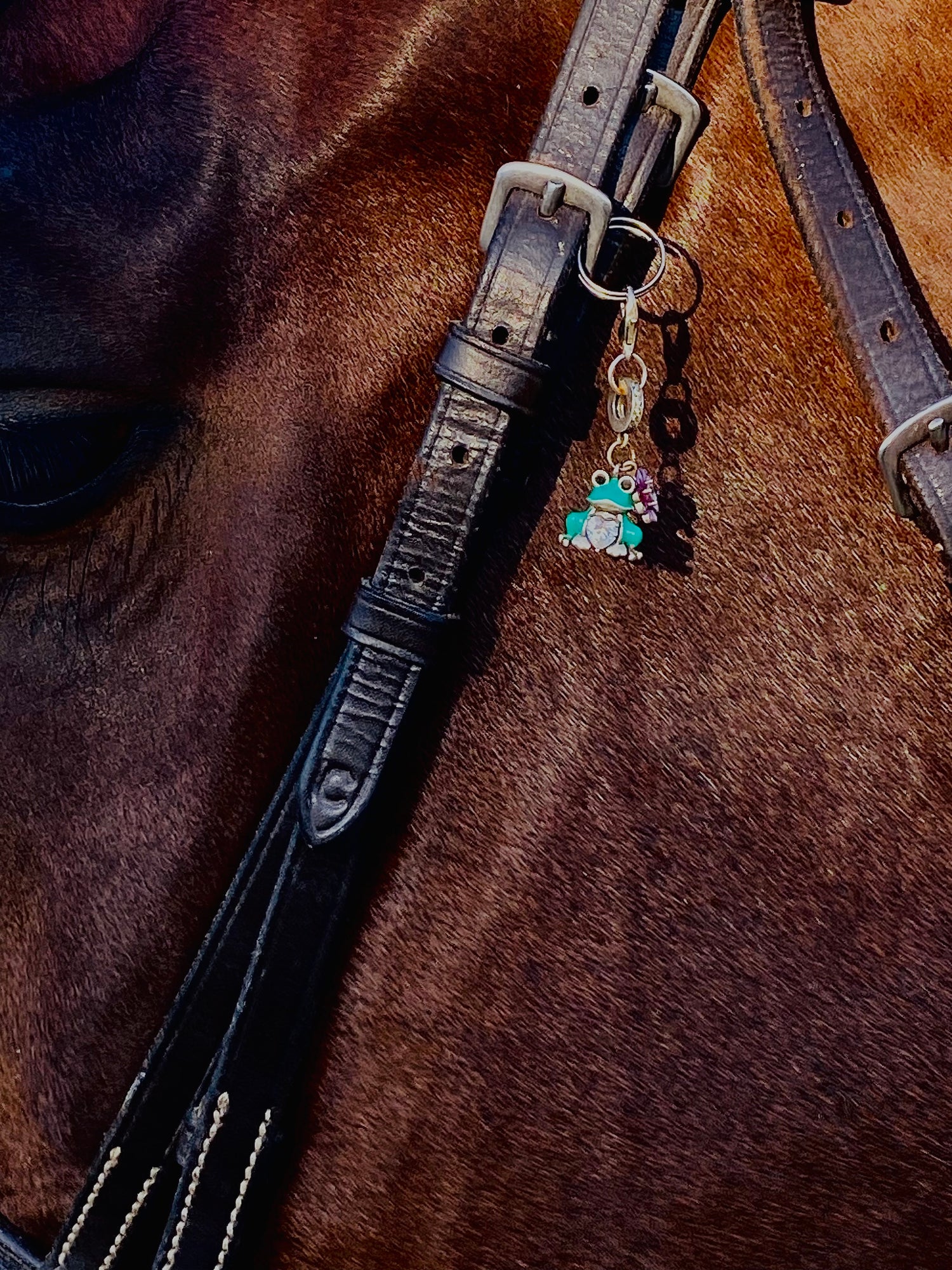 The Braided Mane Charms