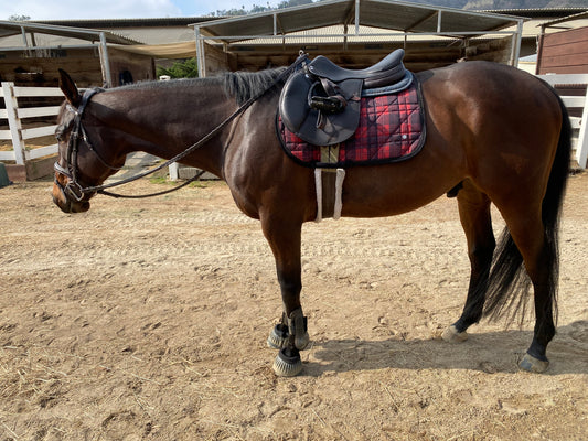 Dapplebay Holiday Plaid Jump Saddle Pad -RED