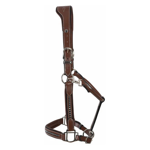 Henri de Rivel Padded Crystal Halter image 1