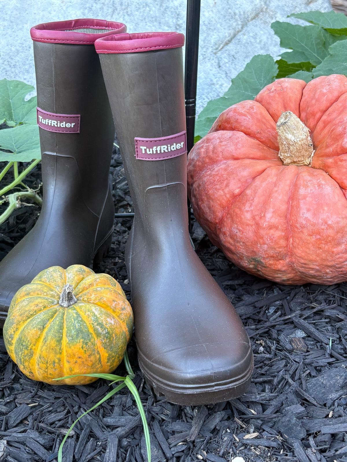 BarnMule Mid Calf Boots