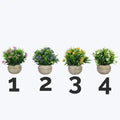 Artificial Potted Floral Plants image 1