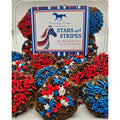 Stars and Stripes Horse Treat Plops 24oz -Canterbury Cookies
