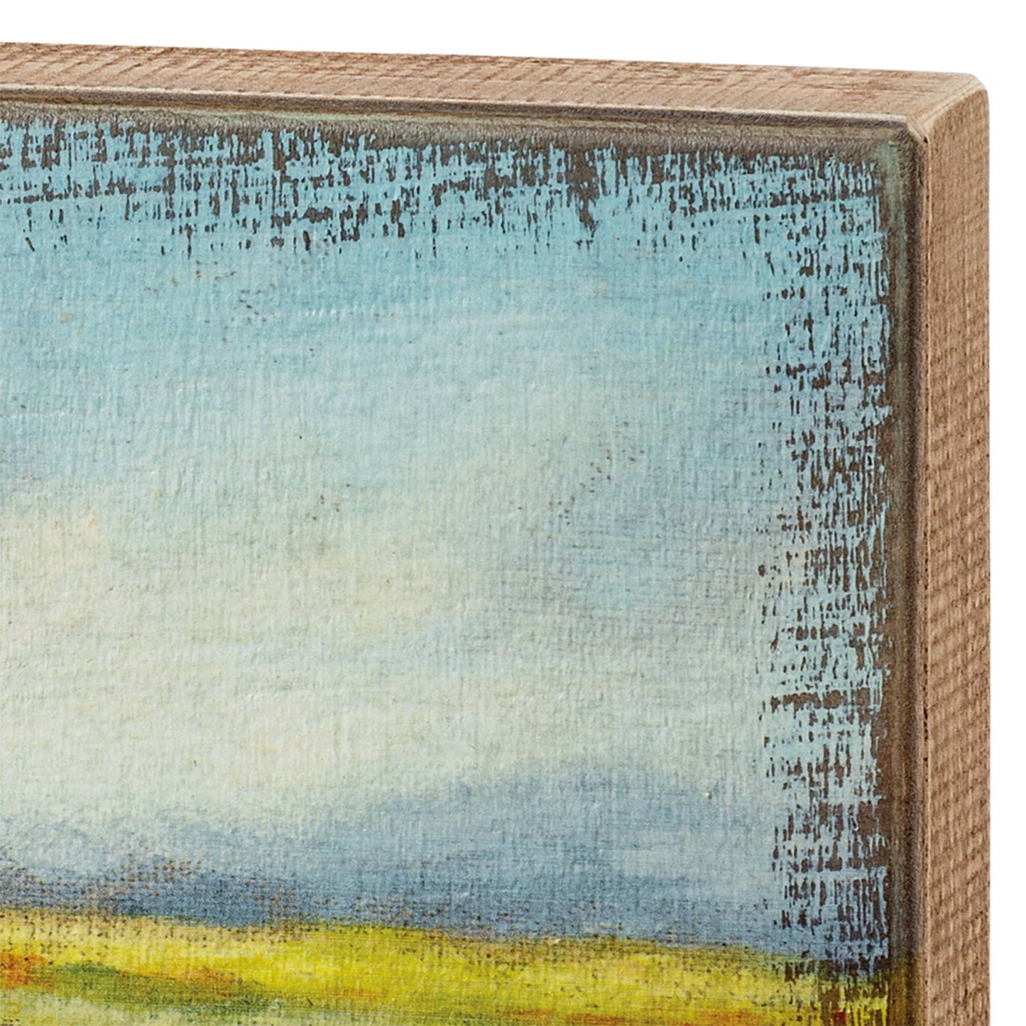 Horse In Field Box Sign