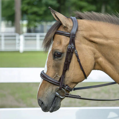 Henri de Rivel Pro Mono-Crown Padded Wide Noseband Bridle