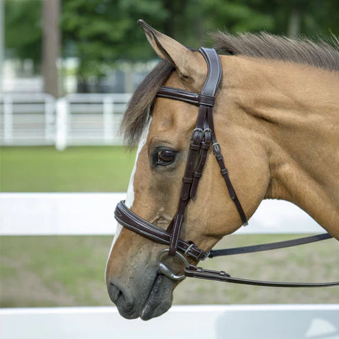 Henri de Rivel Pro Mono-Crown Padded Wide Noseband Bridle