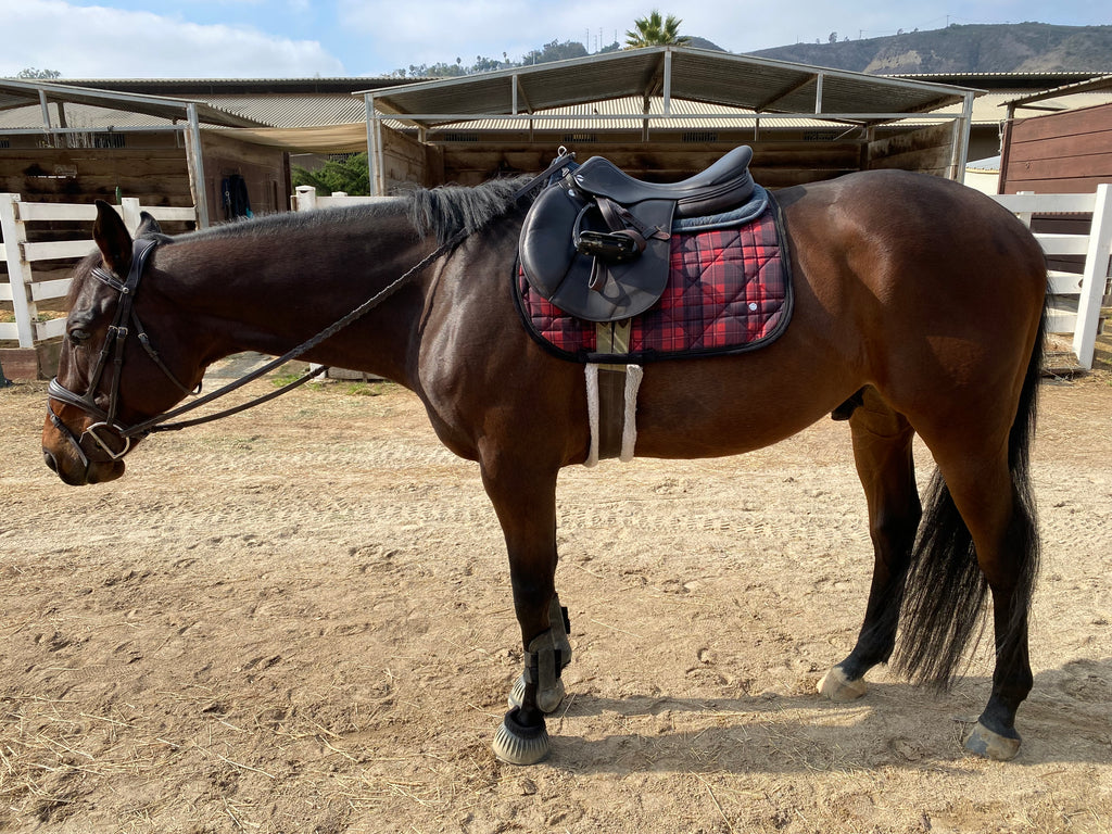 Dapplebay Holiday Plaid Jump Saddle Pad RED- CLEARANCE