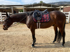 Dapplebay Holiday Plaid Jump Saddle Pad RED- CLEARANCE