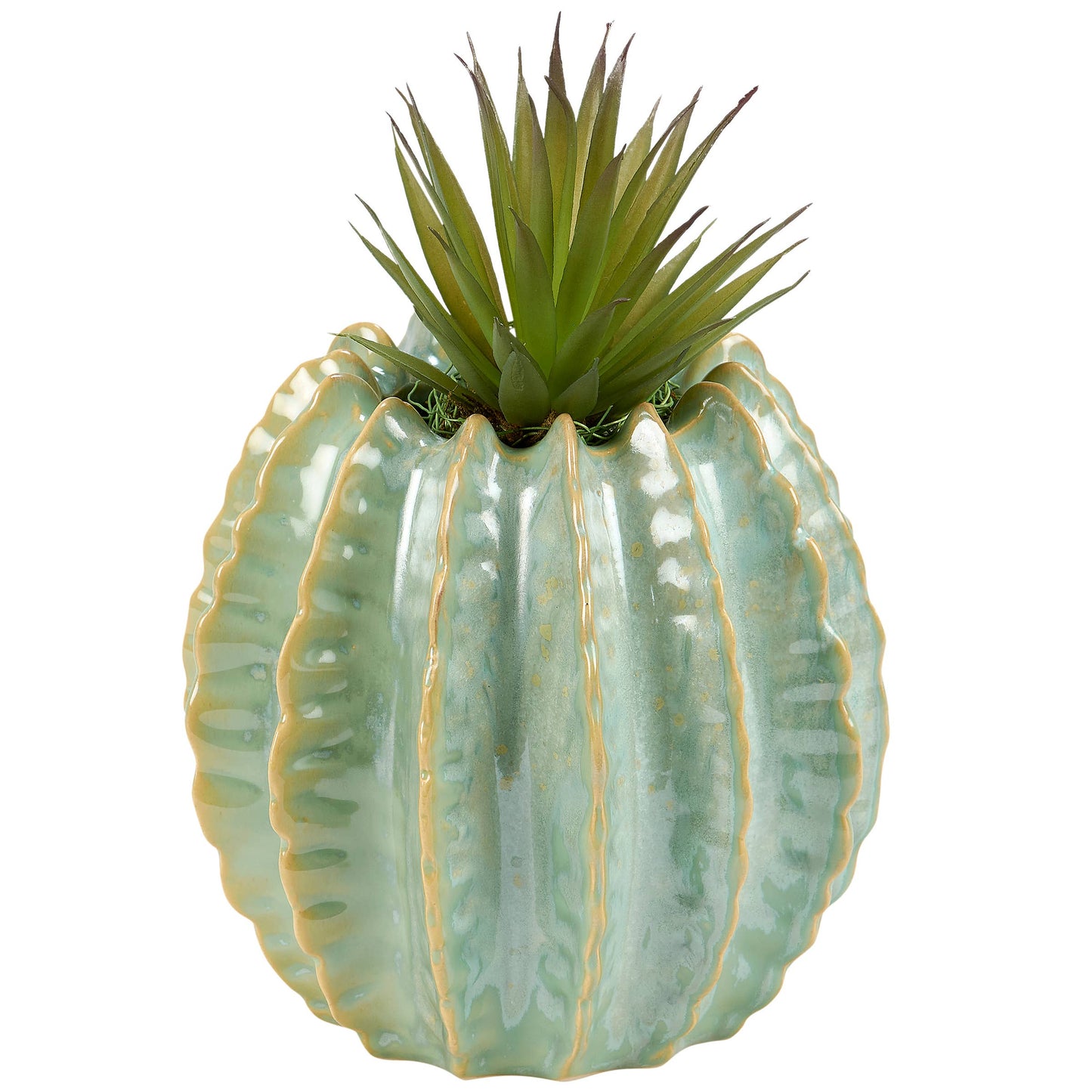 Barrel Cactus Planter