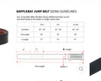 Dapplebay Reversible Jump Belt - Silver