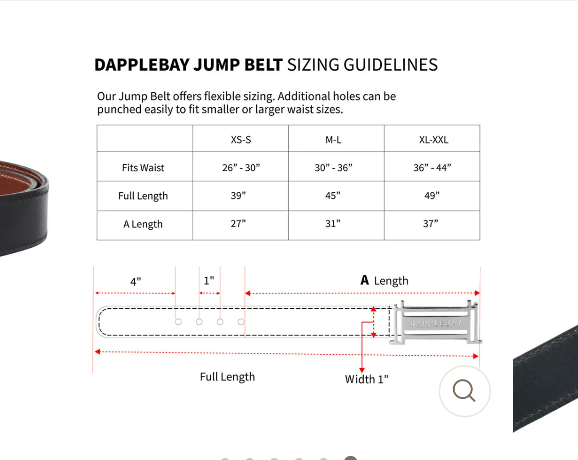 Dapplebay Reversible Jump Belt - Silver