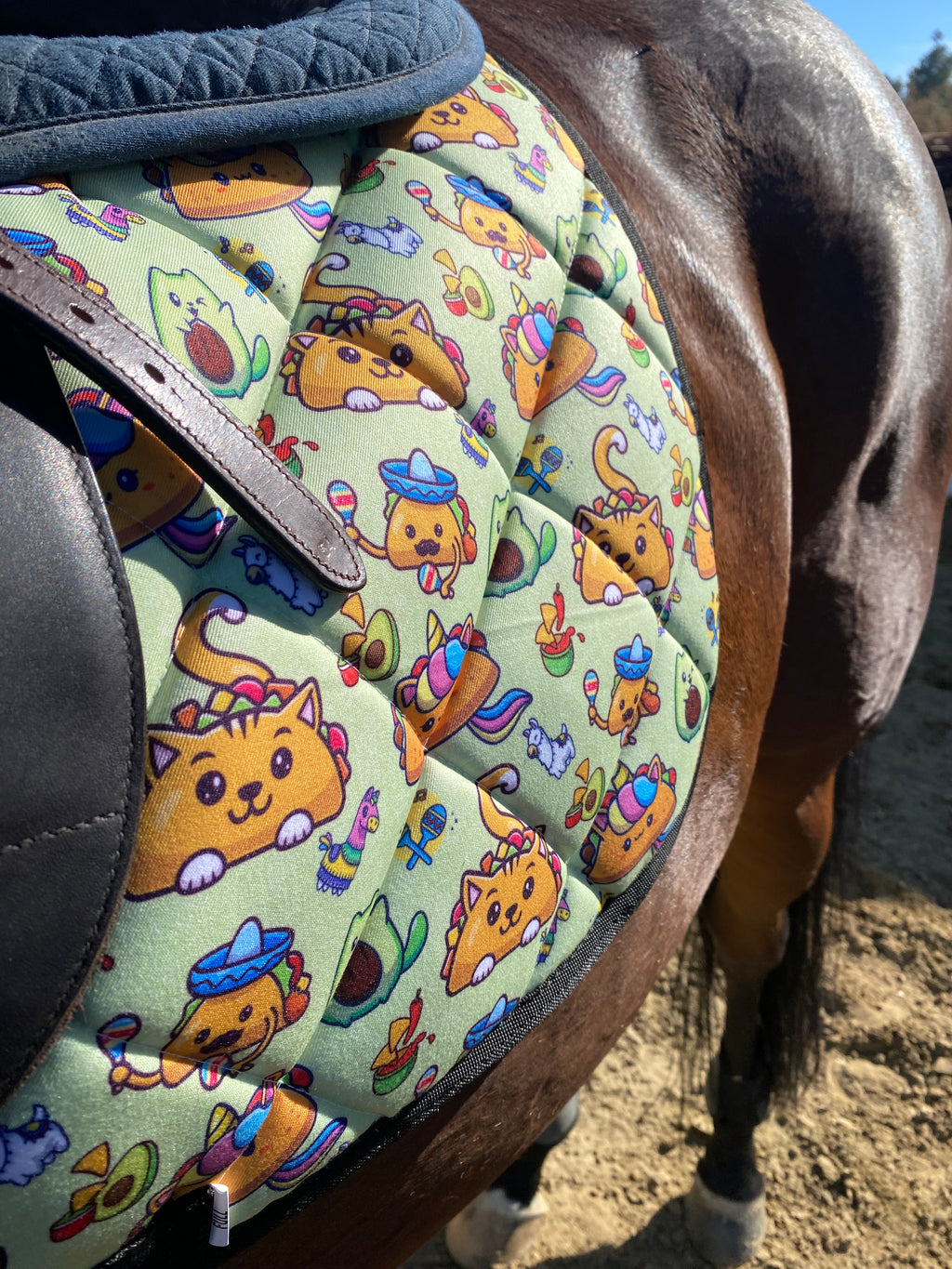 Taco Cat Saddle Pad
