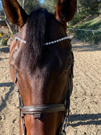 Browband- Amazing