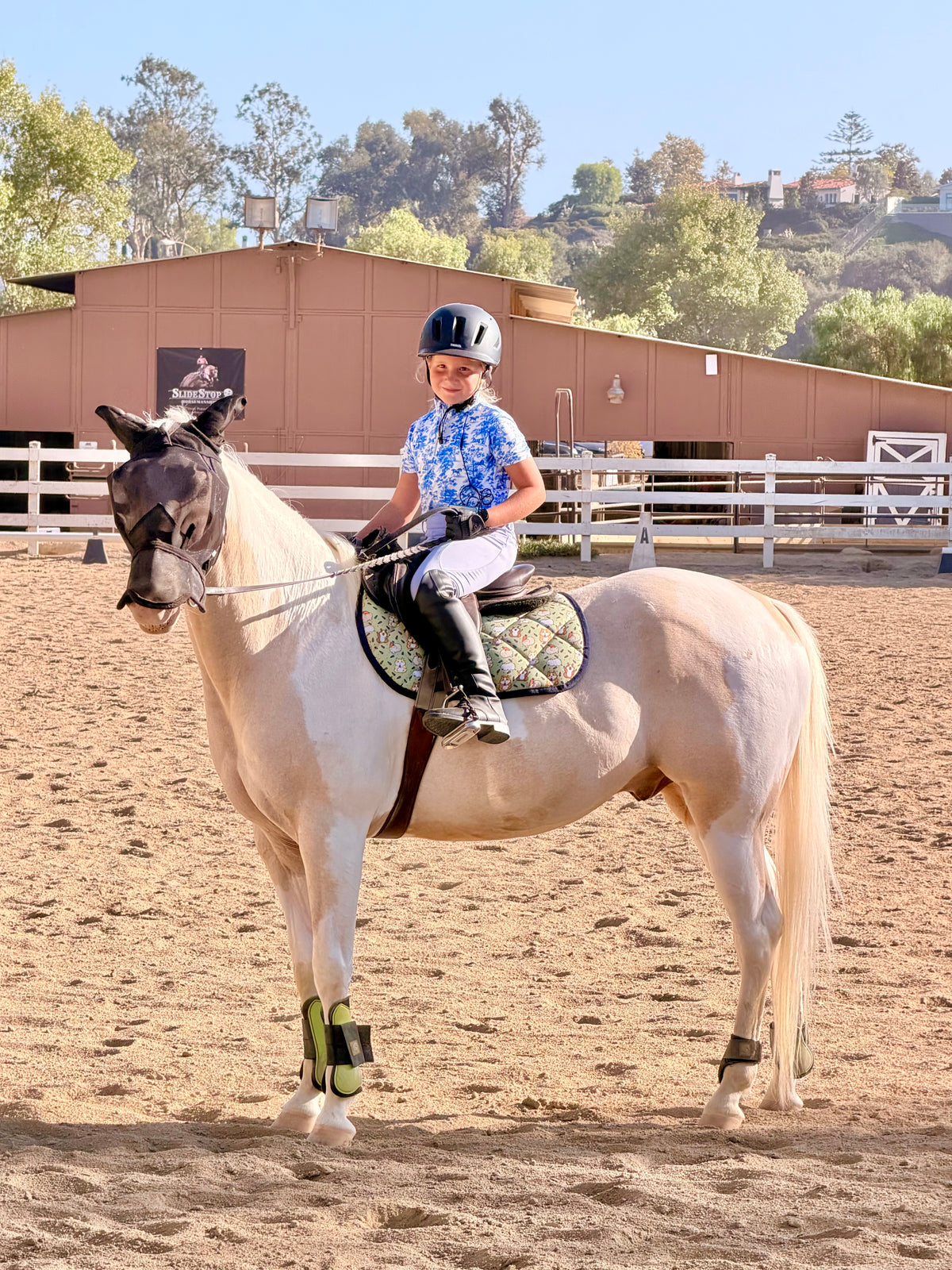 Hamsters Saddle Pad