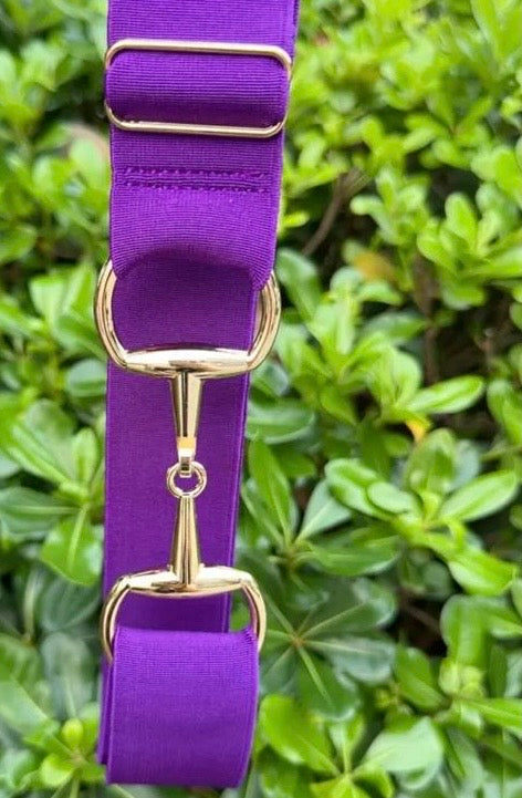 Snaffle Bit Elastic Belt- Gold Buckle