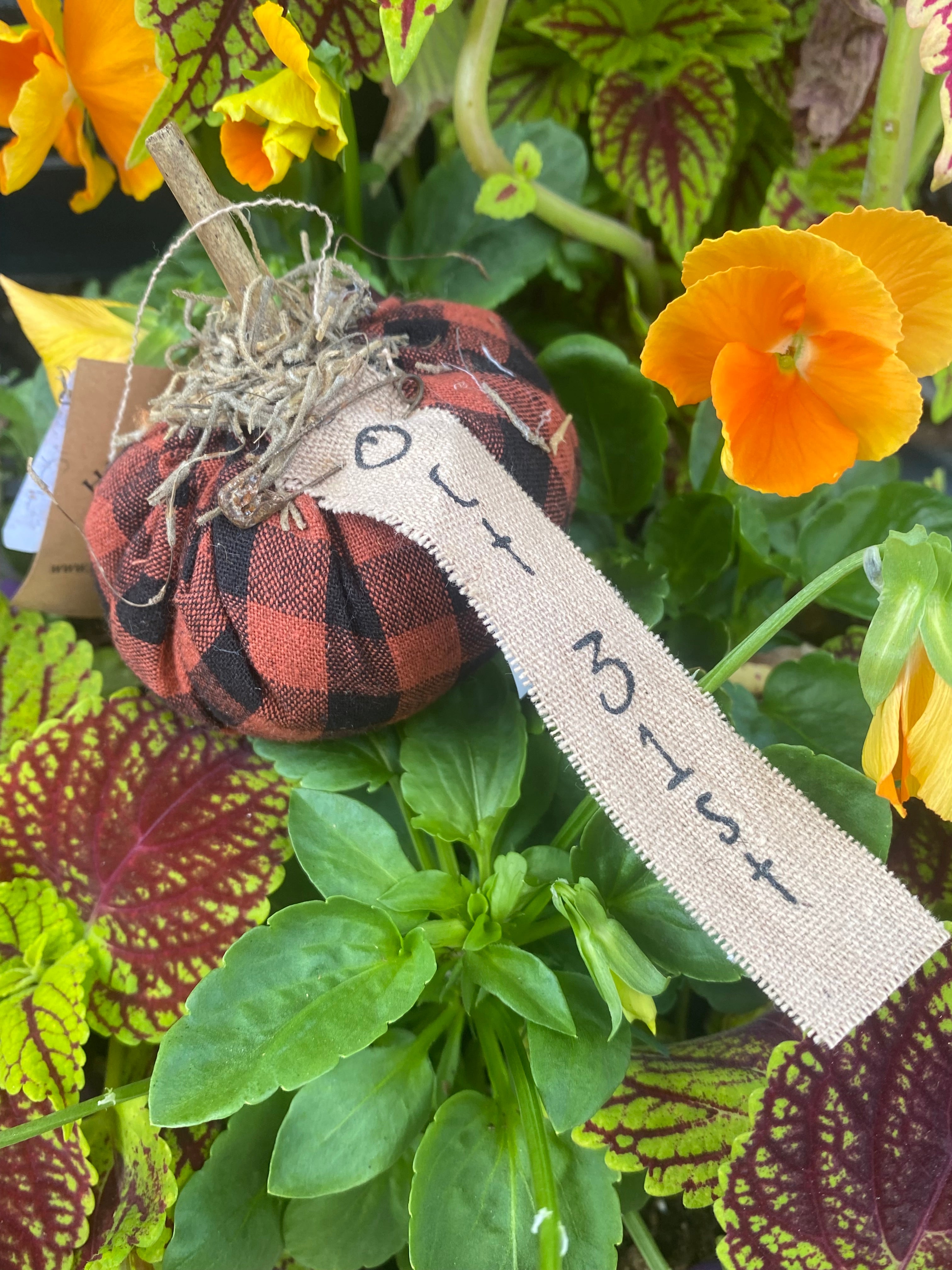 Burnt Orange & Black Stuffed "October 31st" Mini Pumpkin