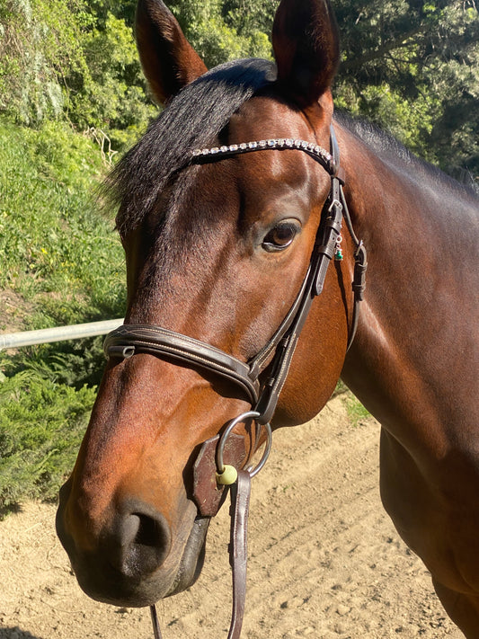 Browband- Amazing
