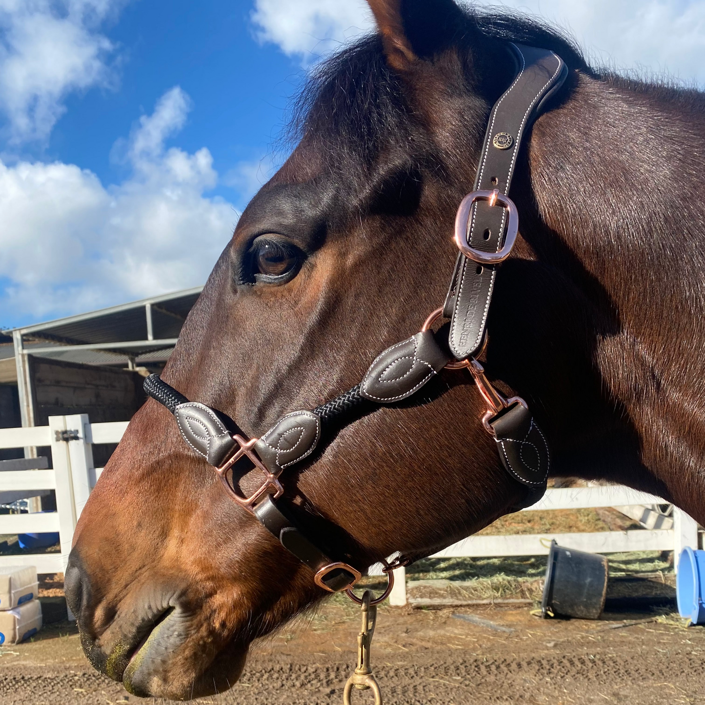 Henri de Rivel Leather Rope Halter