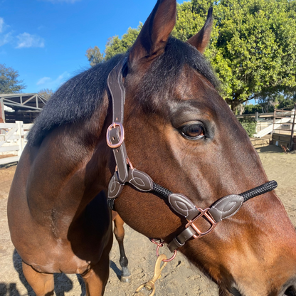 Henri de Rivel Leather Rope Halter