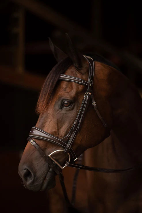 Henri de rivel Jamaika Pro Anatomical  Bridle with Raised laced reins
