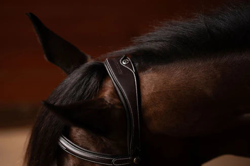 Henri de rivel Jamaika Pro Anatomical  Bridle with Raised laced reins