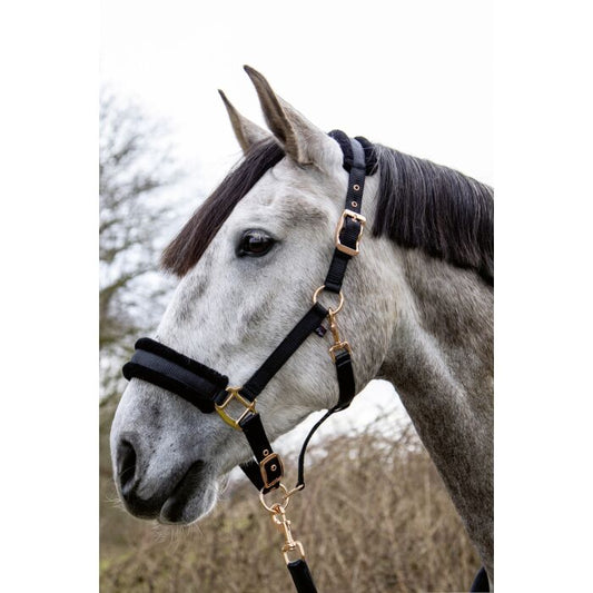 HKM Rosegold Glamour Halter image 0