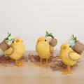 Spring Chick Critter Set image 0