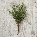 Boxwood Pick image 0