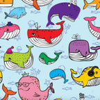Whale Whale Whale Pair & A Spare Socks
